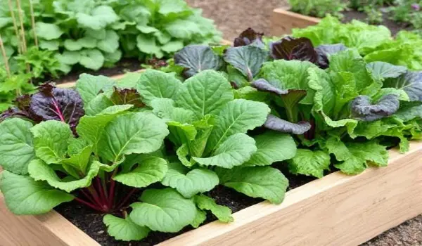 Hortalizas fáciles de cultivar para principiantes