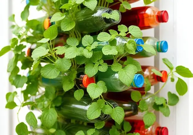 Huerto vertical en espacio reducido